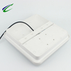 Square ceiling light IP54 for 2D tube normal size