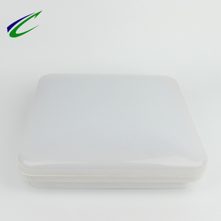 Square ceiling light IP54 for 2D tube normal size