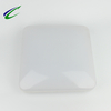 Square ceiling light IP54 for 2D tube normal size