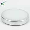 14W LED Ceiling Light SILIVER color