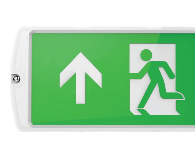 IP65 multi-purpose emergency exit bulkhead